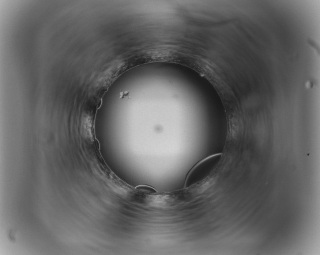 X0000101960575200808011110