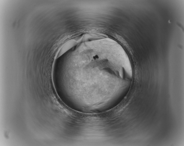 X0000101960577200808011110