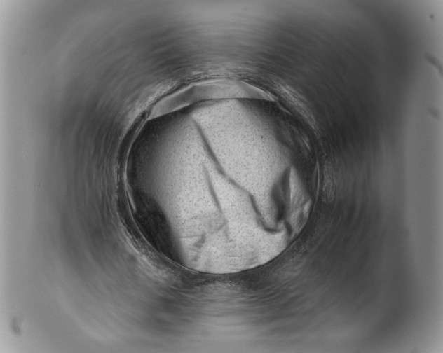 X0000101960578200808011110