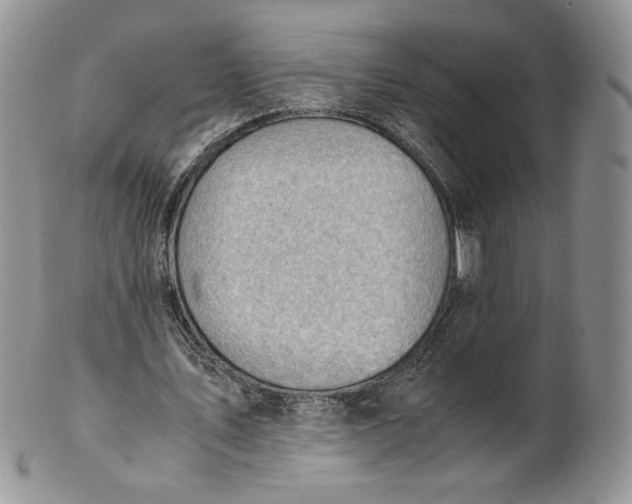 X0000101960579200808011110