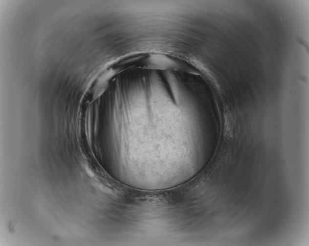 X0000101960580200808011110