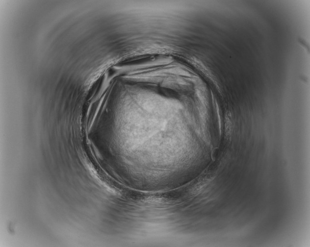 X0000101960581200808011109