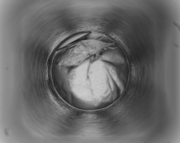 X0000101960582200808011109