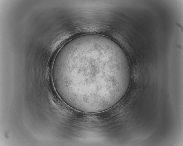 X0000101960583200808011109