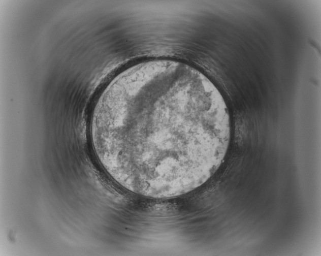 X0000101960584200808011109