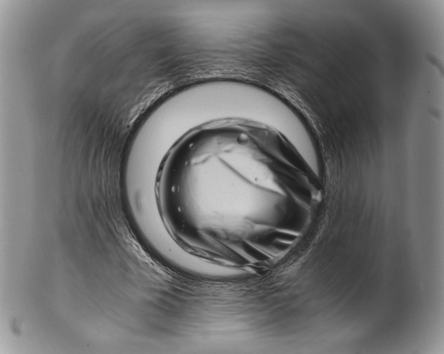 X0000101960585200808011109