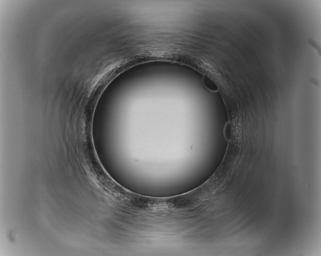 X0000101960587200808011109