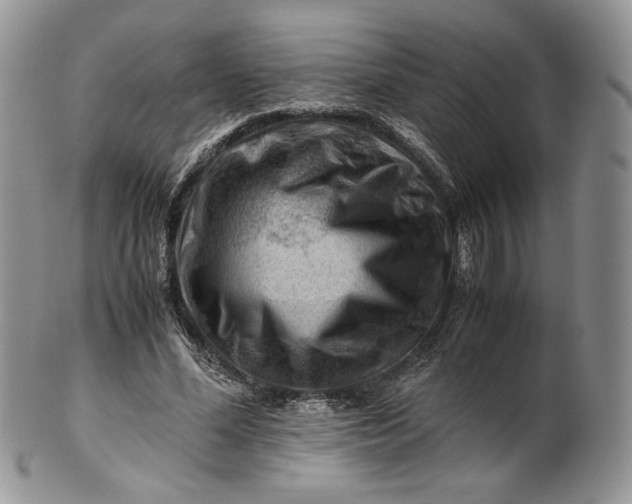 X0000101960588200808011109