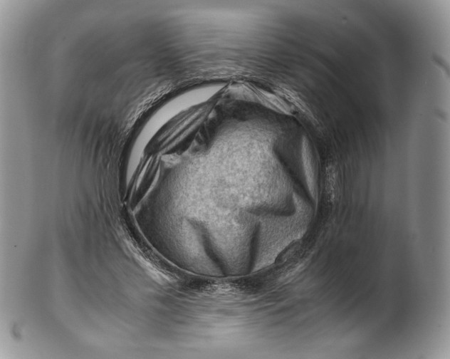 X0000101960589200808011109