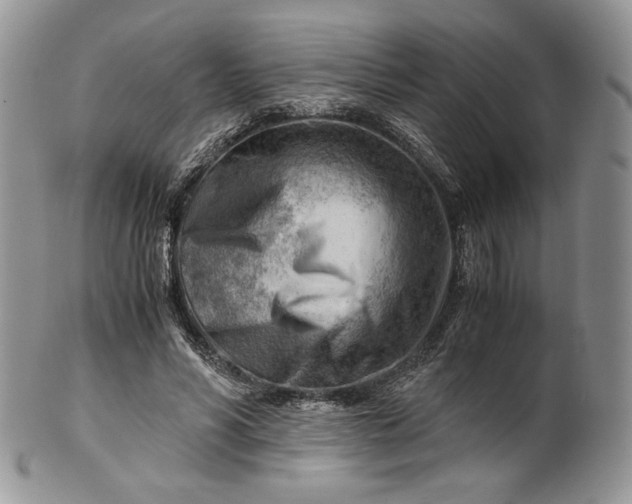 X0000101960590200808011109