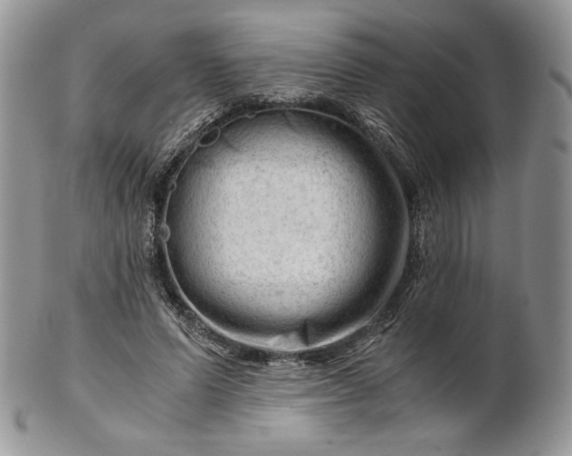 X0000101960591200808011109