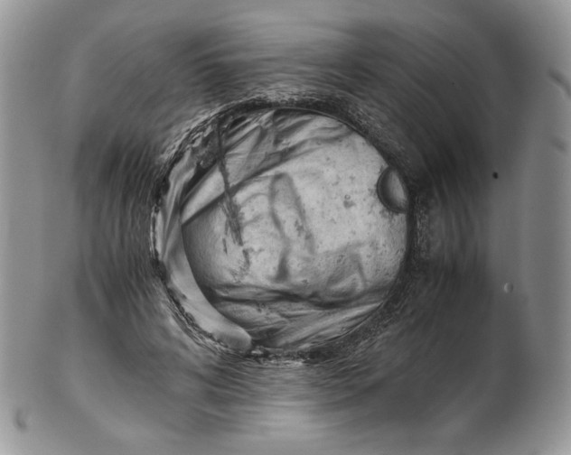 X0000101960592200808011109