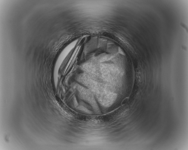 X0000101960593200808011109