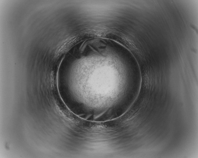 X0000101960594200808011109