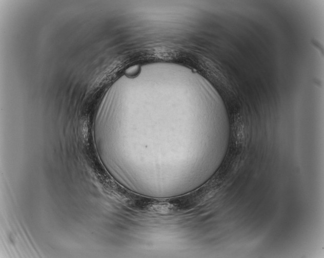 X0000101960595200808011109