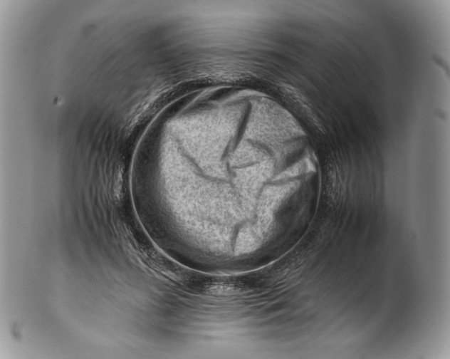 X0000101960596200808011109