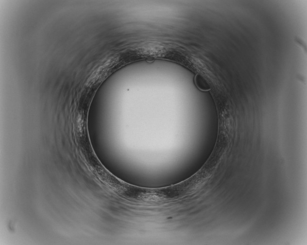 X0000101960597200808011109