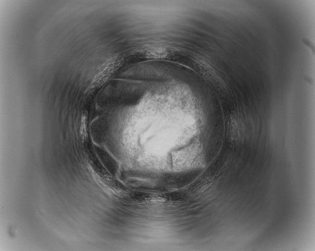 X0000101960598200808011109