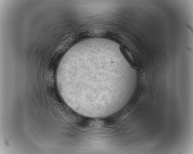 X0000101960599200808011109