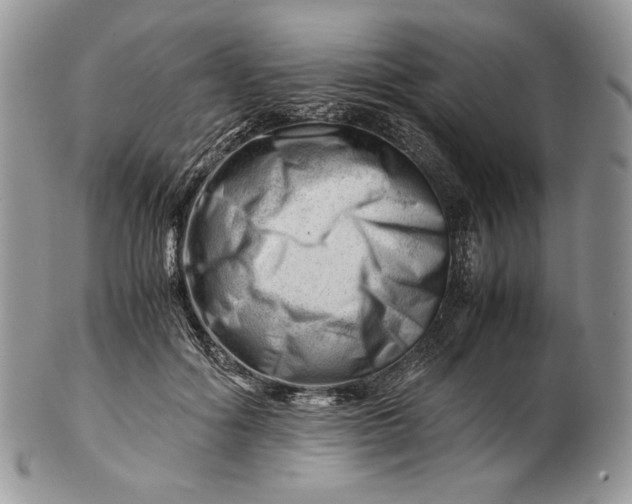 X0000101960602200808011109