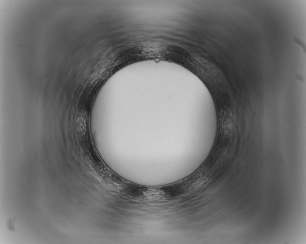 X0000101960603200808011109