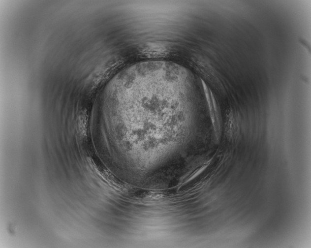 X0000101960604200808011109