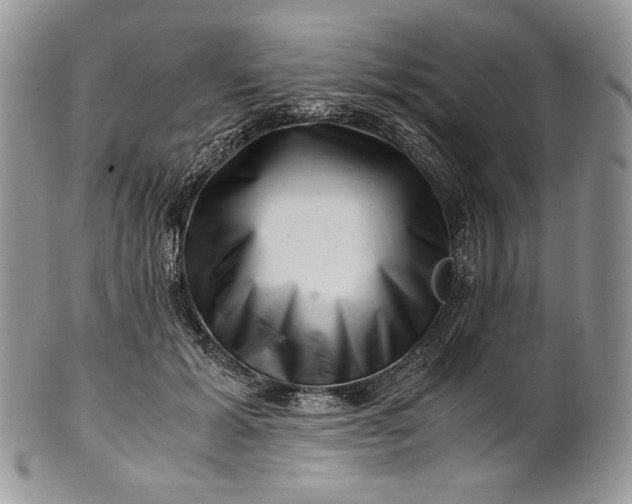 X0000101960605200808011109