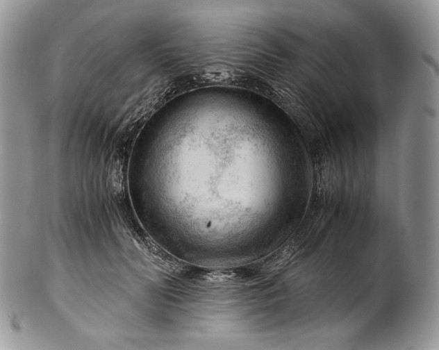 X0000101960606200808011109