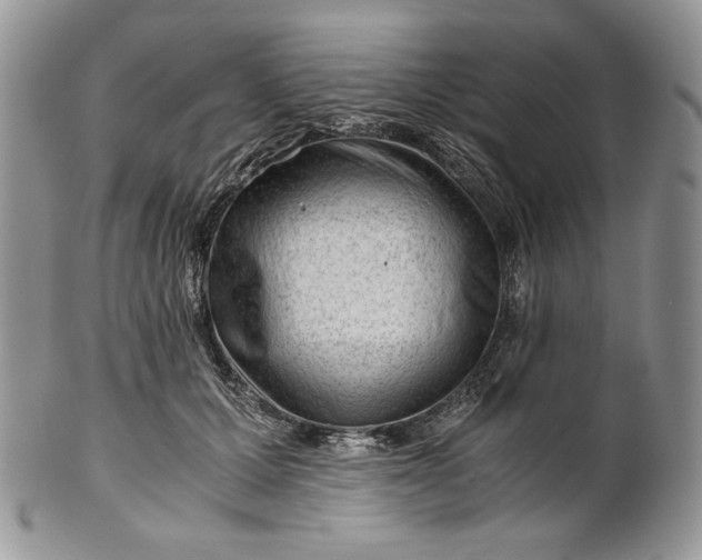 X0000101960607200808011109