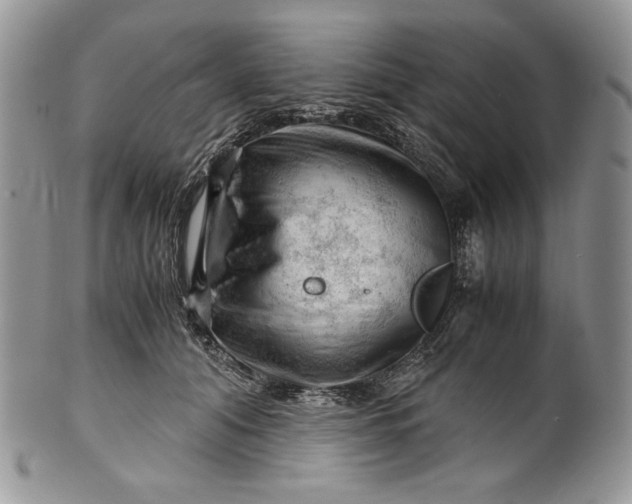 X0000101960608200808011109