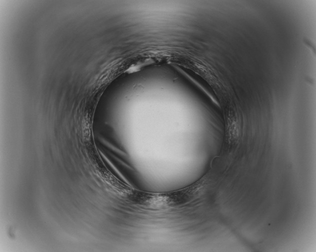 X0000101960609200808011109