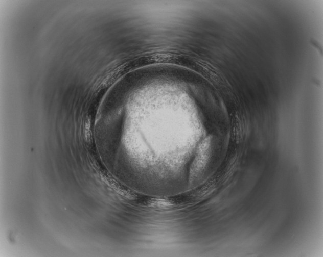 X0000101960610200808011109