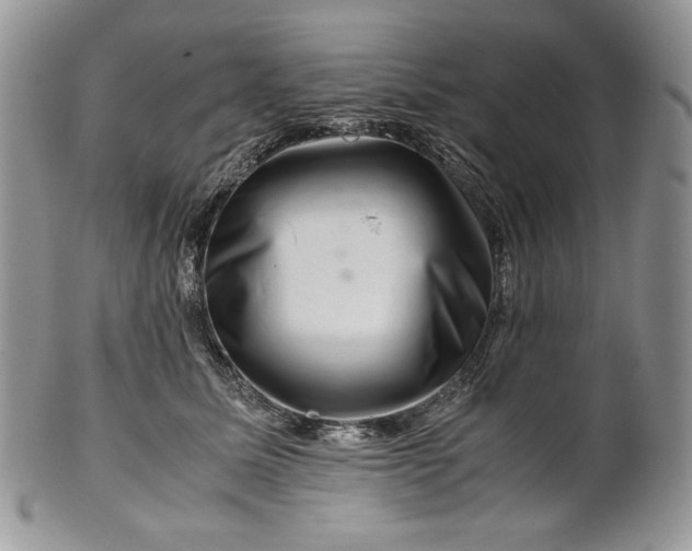 X0000101960611200808011109