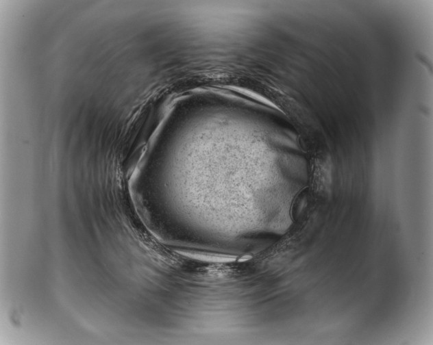 X0000101960612200808011109