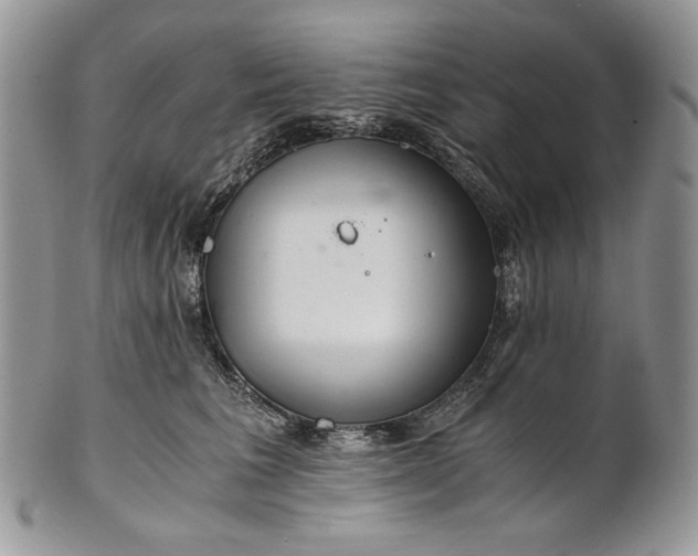 X0000101960613200808011109