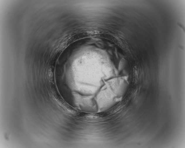 X0000101960614200808011109