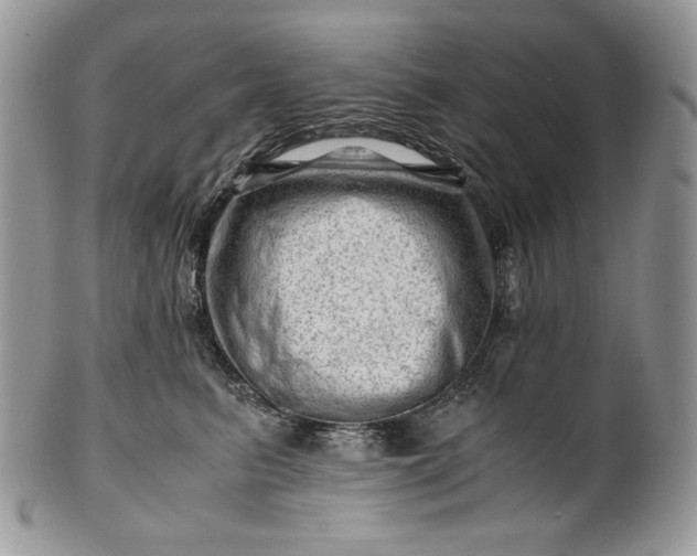 X0000101960615200808011109