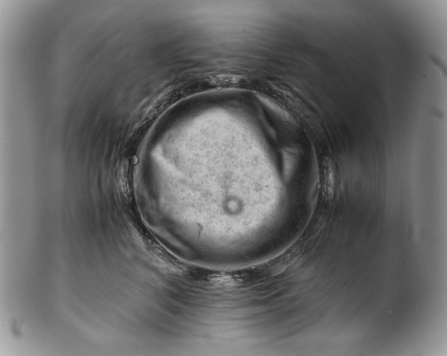 X0000101960616200808011109