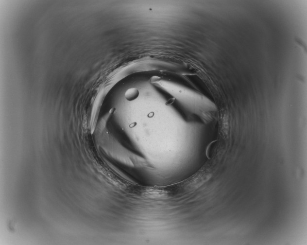 X0000101960617200808011109