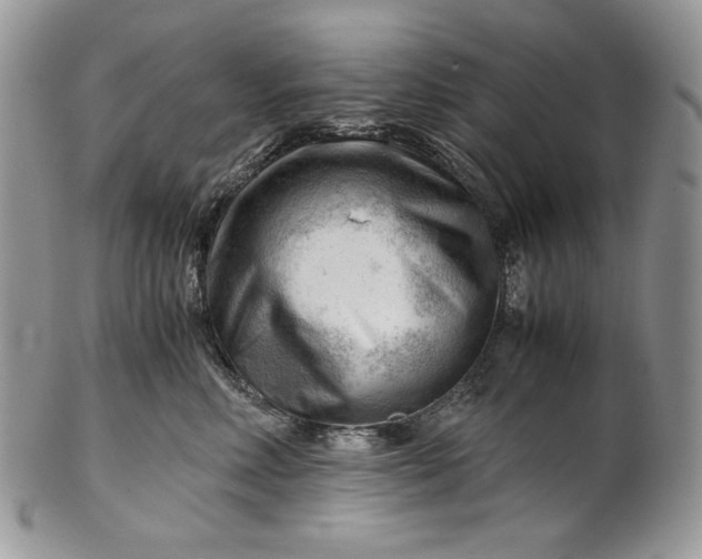 X0000101960618200808011109