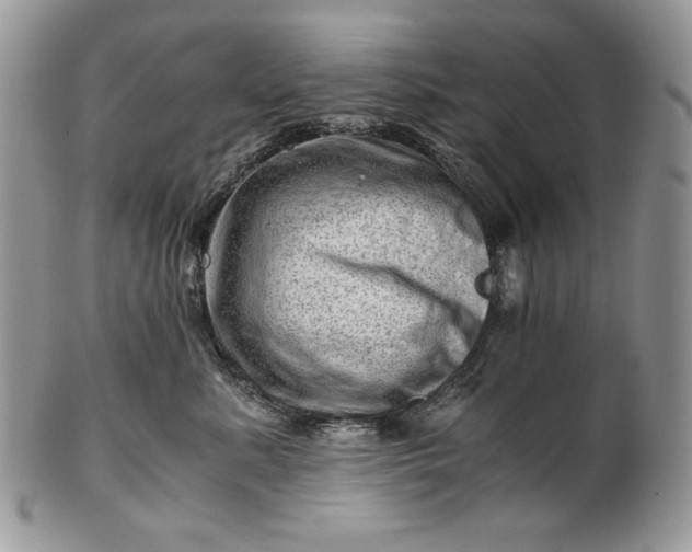 X0000101960619200808011109