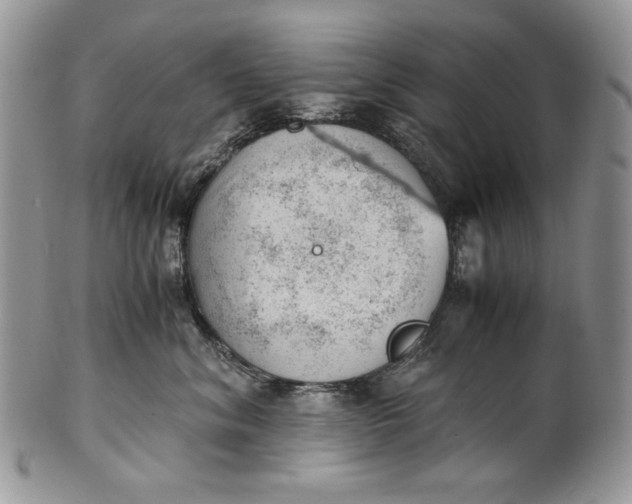 X0000101960620200808011109