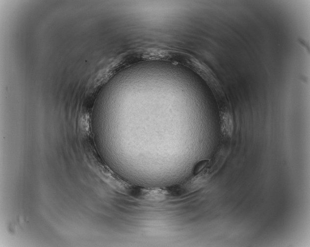 X0000101960621200808011109