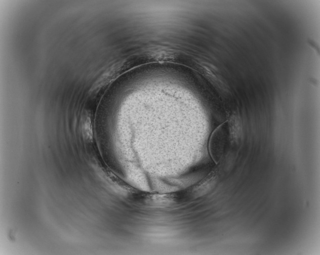 X0000101960622200808011109