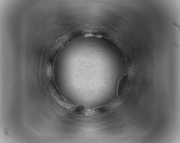 X0000101960623200808011109