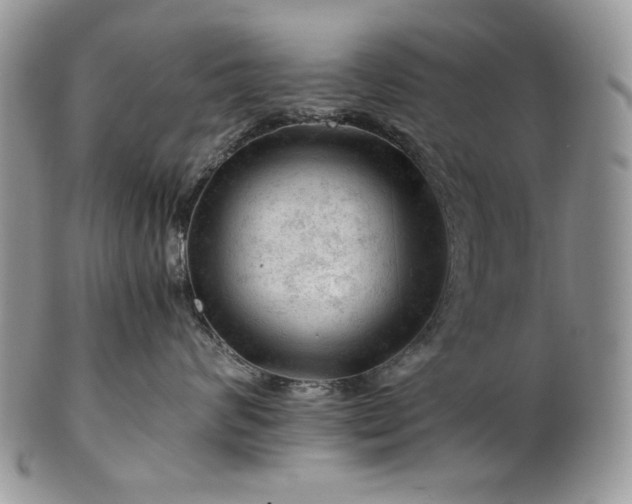 X0000101960624200808011109