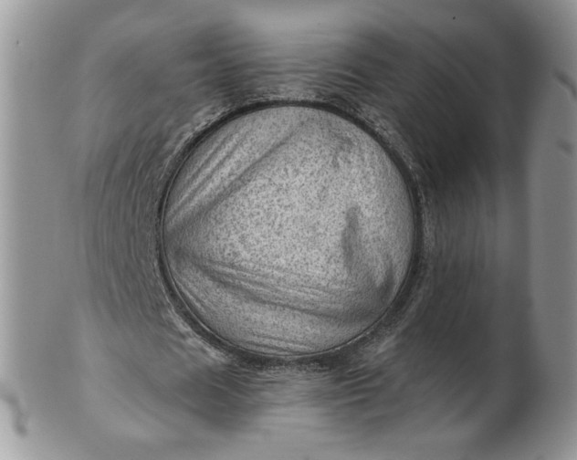 X0000101960625200808011108