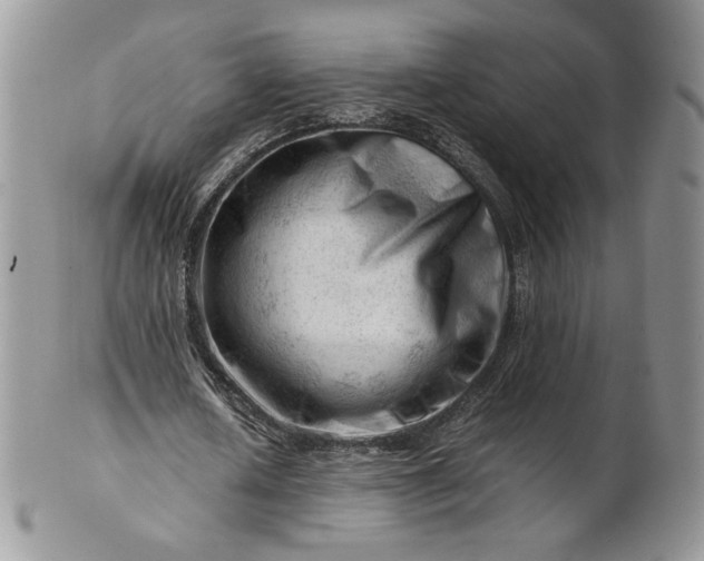 X0000101960626200808011108