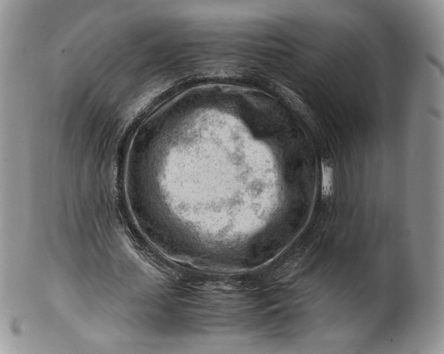 X0000101960627200808011108