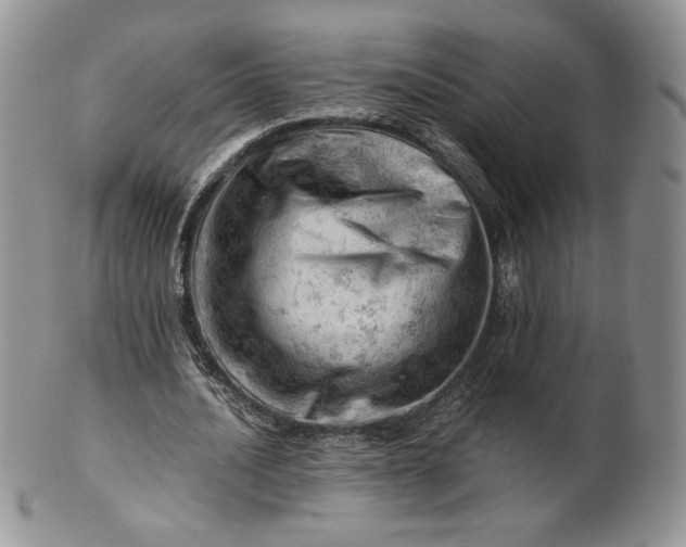 X0000101960628200808011108